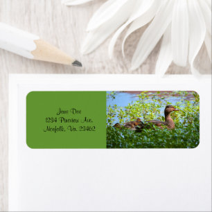 Mallard and Ducklings-Swimming by Shirley Taylor Etiket