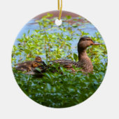Mallard and Ducklings-Swimming by Shirley Taylor Keramisch Ornament (Voorkant)