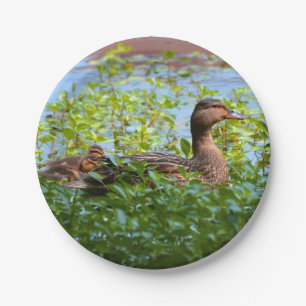 Mallard and Ducklings-Swimming by Shirley Taylor Papieren Bordje