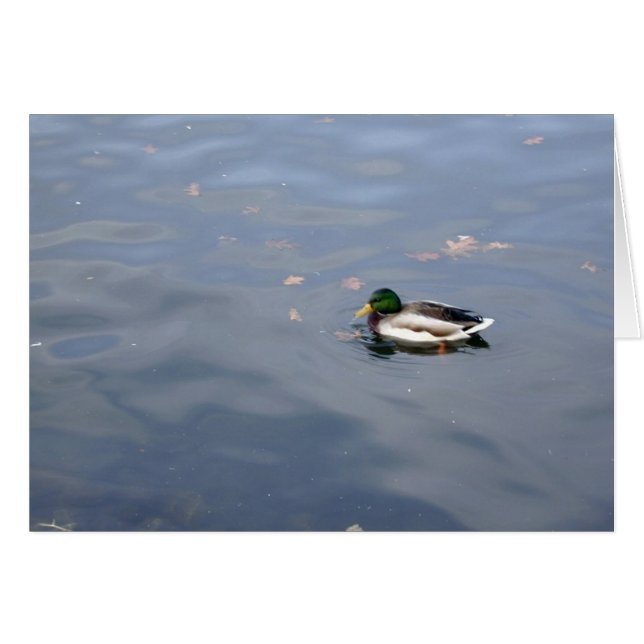 Mallard Blur kaart (Voorkant Horizontaal)