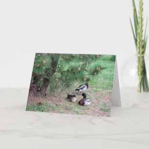 Mallard Canards & Pins Carte d'anniversaire avec B