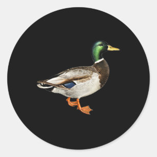 Mallard Drake Duck Pocket Logo Mallard Ducks Hunti Ronde Sticker