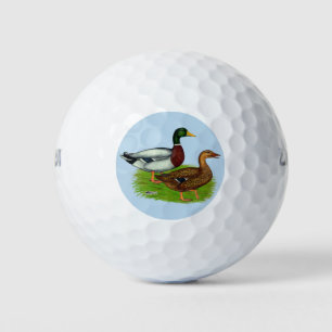 Mallard Drake en Duck Golfballen