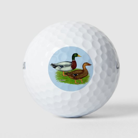 Mallard Drake en Duck Golfballen (Voorkant)