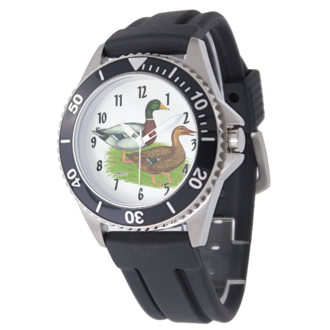 Mallard Drake en Duck Horloge (Gekanteld)