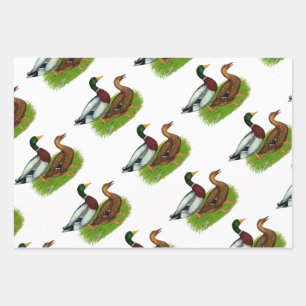 Mallard Drake en Duck Inpakpapier Vel