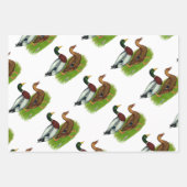 Mallard Drake en Duck Inpakpapier Vel (Voorkant)
