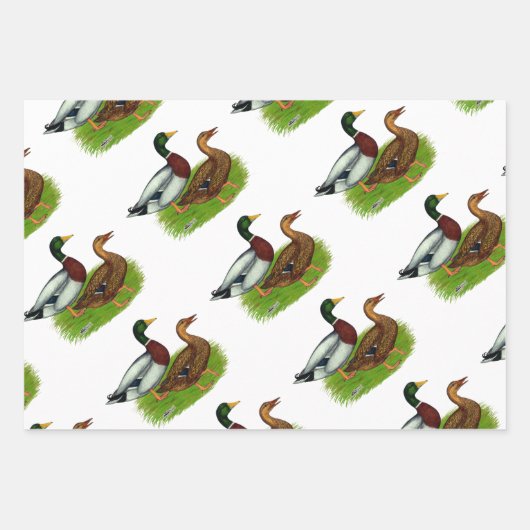 Mallard Drake en Duck Inpakpapier Vel (Voorkant)
