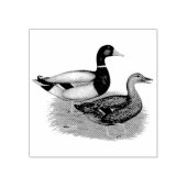 Mallard Drake en Duck Rubberstempel (Afrduk)