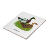 Mallard Drake en Duck Tegeltje (Zijkant)