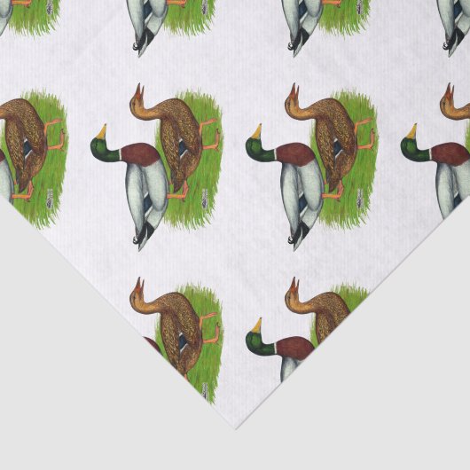 Mallard Drake en Duck Tissuepapier (Detail)