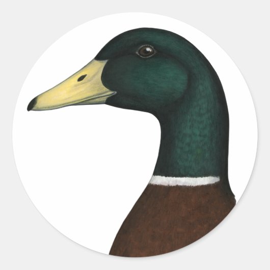 Mallard Drake Head Ronde Sticker (Voorkant)