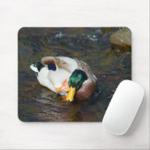 Mallard Drake Muismat (Met muis)