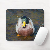 Mallard Drake Muismat (Met muis)