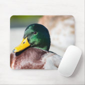 Mallard Drake Muismat (Met muis)