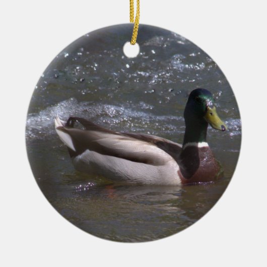 Mallard Drake Ornament (Voorkant)