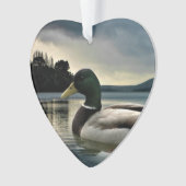 Mallard Duck (devant)