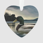 Mallard Duck (dos)