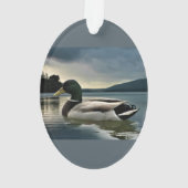 Mallard Duck (dos)
