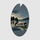 Mallard Duck (devant)