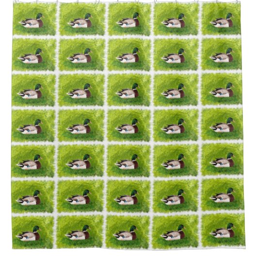 Mallard Duck Afbeelding Schilderen Douchegordijnen (Voorkant)