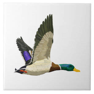 Mallard Duck Artful Tegeltje