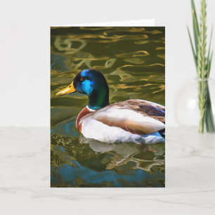 Mallard Duck Artistic Portret Kaart