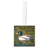 Mallard Duck Artistic Portret Kubus Ornament (Voorkant)