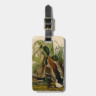 Mallard Duck Audubon Bird Painting Bagagelabel