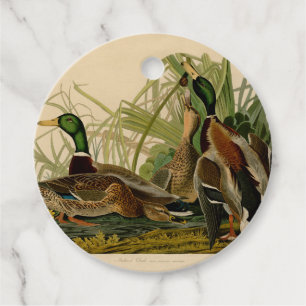 Mallard Duck Audubon Bird Painting Bedankjes Labels