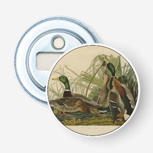 Mallard Duck Audubon Bird Painting Button Flesopener
