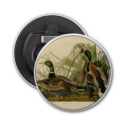 Mallard Duck Audubon Bird Painting Button Flesopener (Voorkant)