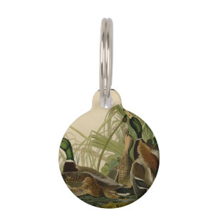 Mallard Duck Audubon Bird Painting Huisdierpenning