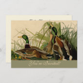 Mallard Duck Audubon Bird Painting Kaart (Voorkant / Achterkant)