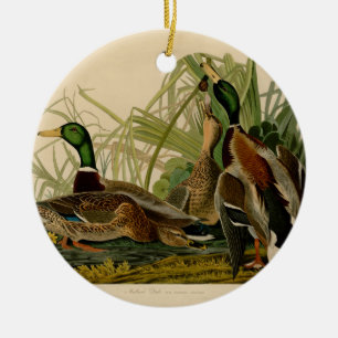 Mallard Duck Audubon Bird Painting Keramisch Ornament