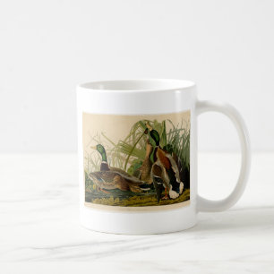 Mallard Duck Audubon Bird Painting Koffiemok