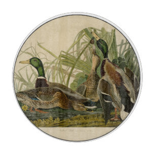Mallard Duck Audubon Bird Painting Snijplank