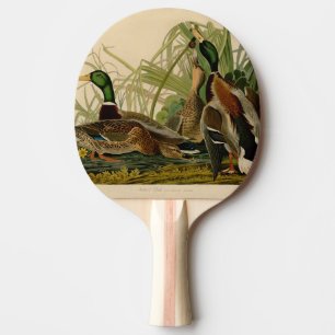 Mallard Duck Audubon Bird Painting Tafeltennisbatje