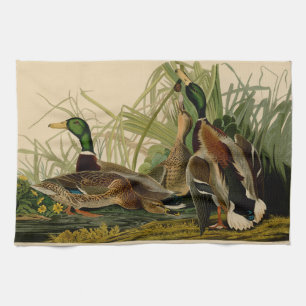 Mallard Duck Audubon Bird Painting Theedoek