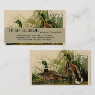Mallard Duck Audubon Bird Painting Visitekaartje