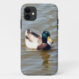 Mallard Duck Barely Daar iPhone 5/5S Hoesje