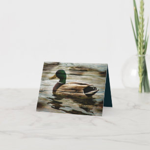 Mallard Duck Bedankkaart