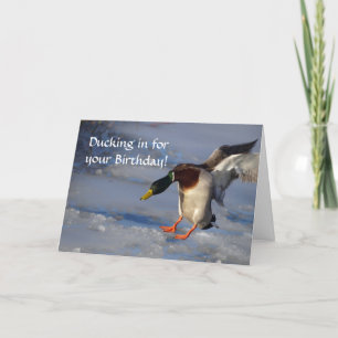 Mallard Duck Birthday Kaart