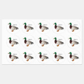 Mallard duck cartoon illustration labels (Vel)