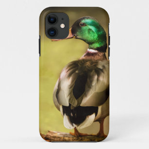 Mallard Duck iPhone 11 Hoesje
