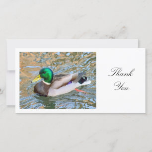 Mallard Duck - Dank je Bedankkaart