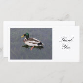 Mallard Duck - Dank je Bedankkaart (Voorkant / Achterkant)
