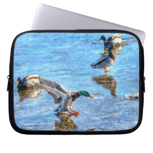 Mallard Duck Drake Landing op Ice Wildlife Foto Laptop Sleeve