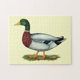 Mallard Duck Drake Legpuzzel