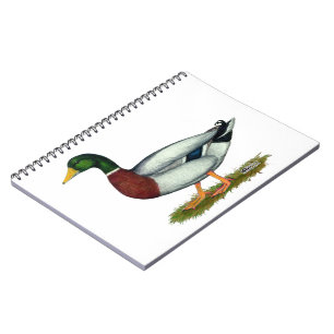 Mallard Duck Drake Notitieboek